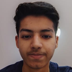 Ritesh Kumar Ray